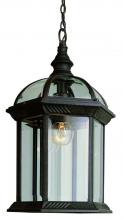 Trans Globe 4183 RT - 1LT HANGING LANTERN RT